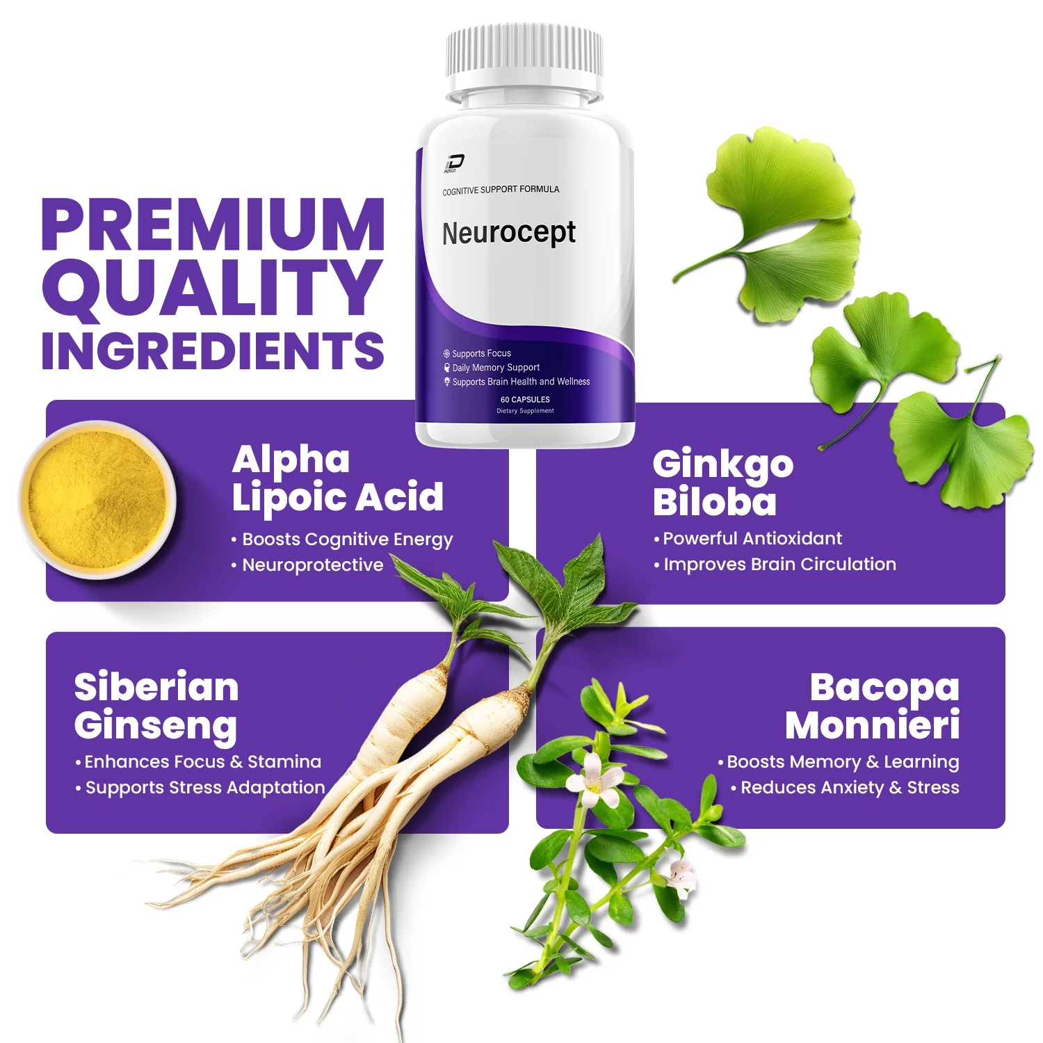 Neurocept Ingredients